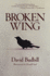 Broken Wing Format: Paperback