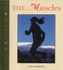 The Muscles (Human Body Systems)