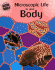 Microscopic Life in Your Body (Micro World)