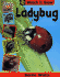 Ladybug (Stopwatch Books)