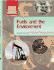 Fuel and the Environment (Core Chemistry)