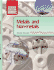 Metals and Nonmetals (Core Chemistry)