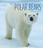 Polar Bears (Living Wild)