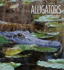Living Wild-Alligators