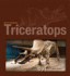 Triceratops (Age of Dinosaurs)
