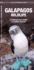 Galapagos Wildlife a Folding Pocket Guide to Familiar Animals