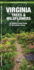 Virginia Trees & Wildflowers (Nature Observation North America)