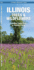 Illinois Trees & Wildflowers: a Folding Pocket Guide to Familiar Plants (Wildlife and Nature Identification)