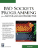 Bsd Sockets Programming From Multi-Language Perspective