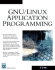 Gnu/Linux Applications Programming (Programming Series)