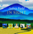 In Sight