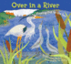 Over in a River: a Musical Stem Adventure Through River Wildlife