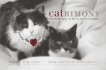 Catrimony: the Feline Guide to Ruling the Relationship