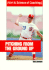 Pitching From the Ground Up
