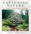 Capturing Nature: the Cement Sculpture of Dionicio Rodriquez