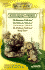 Boyds Bears and Friends Collectors Value Guide