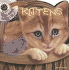 Kittens (Know It Alls)