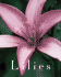 Lilies