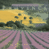 Provence: Timeless Places