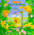 Witzy to the Rescue (Witzys World)