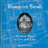 Blueprint Small: Creative Ways to Live With Less