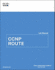 Ccnp Route Lab Manual