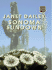 Sonora Sundown (Americana-Arizona #3)
