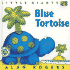 Blue Tortoise (Little Giants)