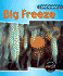 Big Freeze (Wild Weather)