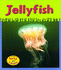 Jellyfish (Ooey-Gooey Animals)