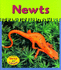 Newts (Ooey-Gooey Animals)