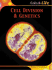 Cell Division and Genetics (Cells and Life)
