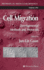 Cell Migration