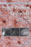 Prion Protein Protocols (Methods in Molecular Biology)