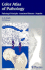Color Atlas of Pathology: Pathologic Principles, Associated Diseases, Sequelae