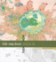 Esri Map Book: Then Now (25): V. 25