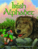 Irish Alphabet (Abc Series)