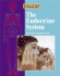 Understanding the Human Body-the Endocrine System