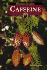 Caffeine (Drug Education Library)