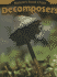 Decomposers (Nature's Food Chain)