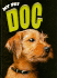 Dog (My Pet)