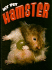 Hamster (My Pet)