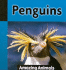 Penguins (Amazing Animals)