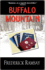 Buffalo Mountain (Ike Schwartz Series, 3)