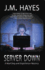 Server Down (Mad Dog & Englishman Series, 5)
