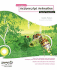 Foundation Actionscript Animation: Making Things Move!