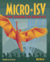 Micro-Isv: From Vision to Reality