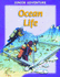 Ocean Life (Junior Adventure)