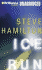 Ice Run (Alex McKnight Series)