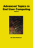 Advanced Topics in End User Computing, Vol. 2 (Advanced Topics in End User Computing Series)